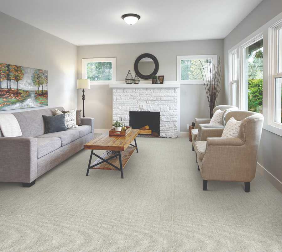 light carpet in a transitional style living room